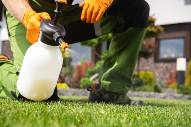 Best Lawn Pest Control  in Johnson City, TX